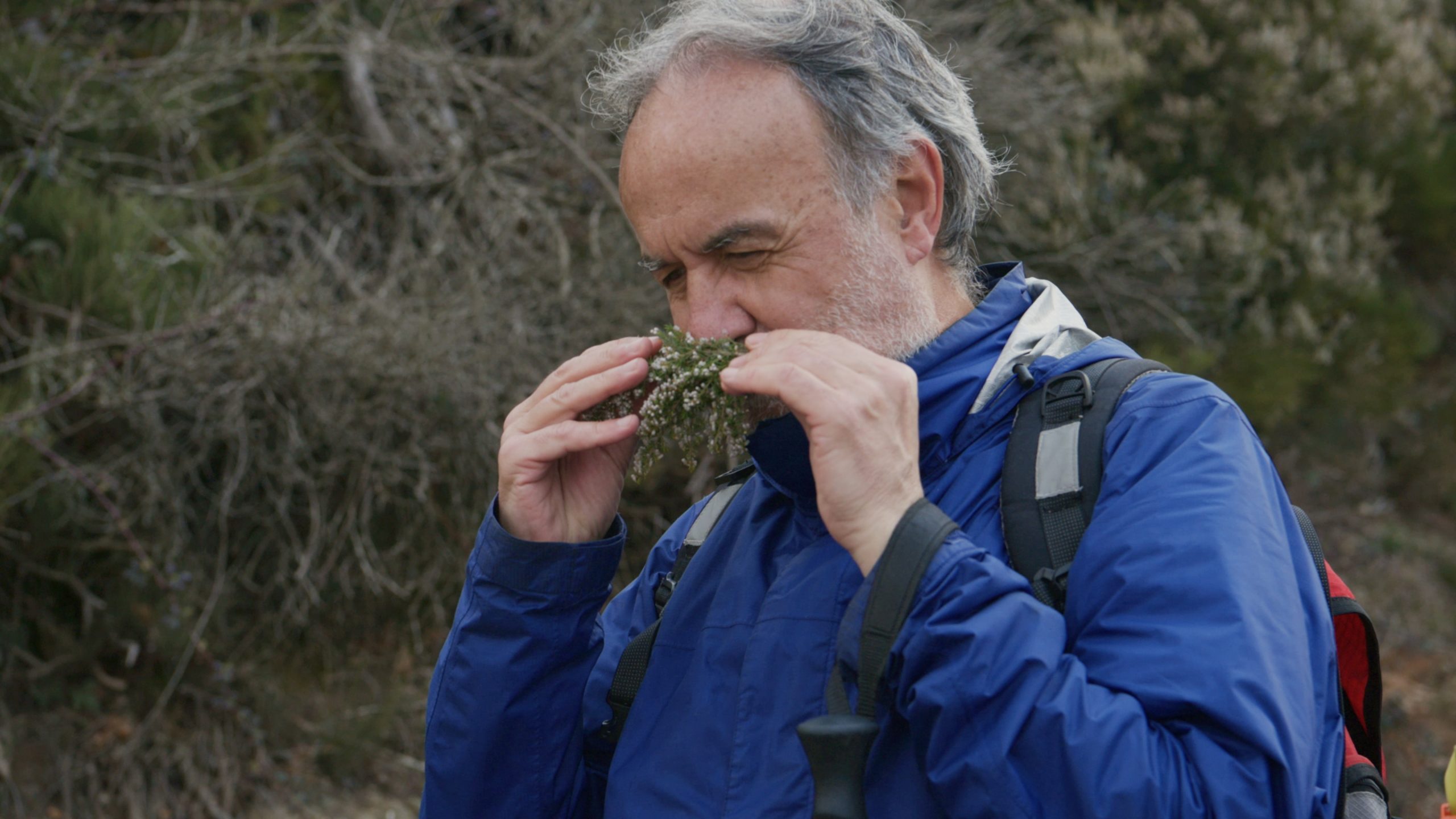 Xavi olorant un farcell de farigola